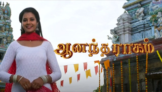 Abhiyum Naanum-Sun tv Serial