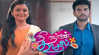 Nee Naan Kadhal - Vijay tv Serial